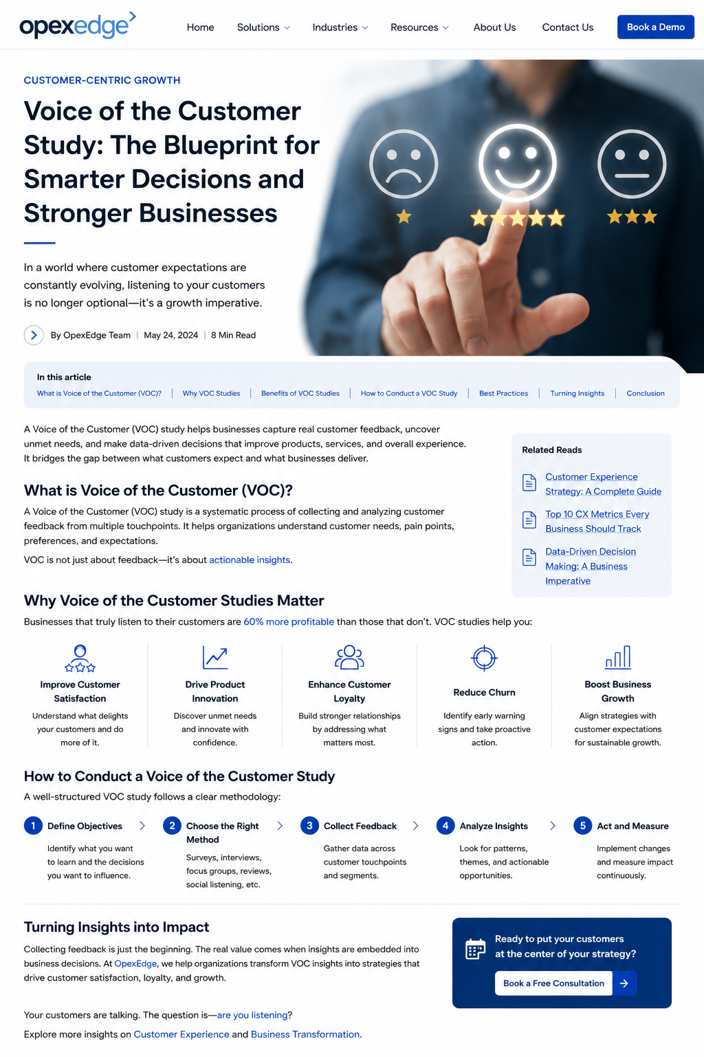 voice of the customer